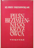 Pieśń bezimiennego krzyżowca