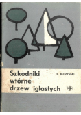Szkodniki wtórne drzew iglastych