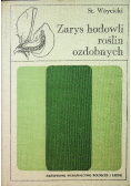 Zarys hodowli roślin ozdobnych