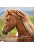 Kalendarz 2023 Albumowy Konie AVANTI