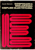Marecki Jacek - Gospodarka skojarzona cieplno - elektryczna
