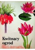 Kwitnący ogród