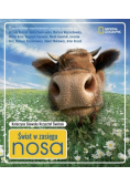 Świat w zasięgu nosa