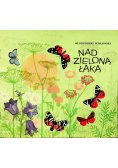 Nad zieloną łąką