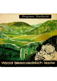 Wśród bieszczadzkich lasów