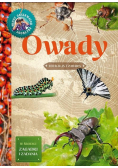 Młody Obserwator Przyrody - Owady w.2022