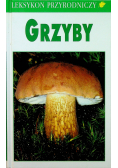 Grzyby