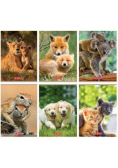 Zeszyt A5/16K linia podwójna Animals (20szt)