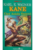 Cień Anioła Śmierci