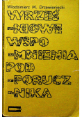 Wrześniowe wspomnienia podporucznika