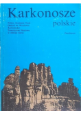Karkonosze polskie