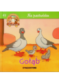 Na pastwisku Gołąb