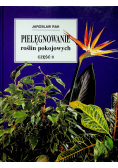 Pielęgnowanie roślin pokojowych część 2