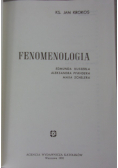 Fenomenologia