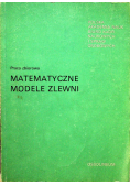 Matematyczne modele zlewni