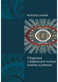 Filogeneza i adaptacyjne funkcje ludzkiej wyobraźni