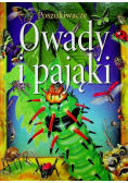 Owady i pająki