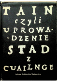 Tain czyli uprowadzenie stad z cuailnge