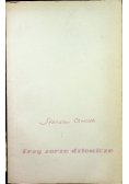 Trzy zorze dziewicze