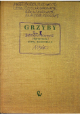 Grzyby