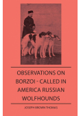 Observations On Borzoi - Called In America Russian Wolfhounds