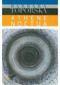 Athena noctua