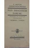 Pod Smaganiem Samumu, 1927 r.