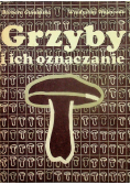 Grzyby i ich oznaczanie