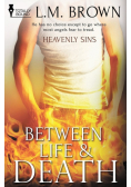 Heavenly Sins