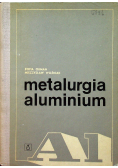 Metalurgia aluminium
