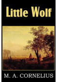 Little Wolf, a Tale of the Western Frontier
