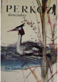 Perkoz dwuczubny