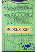 Model Mózgu
