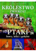 Królestwo zwierząt tom 24 Ptaki sowy lelki i gołębie