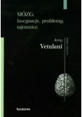 Mózg Fascynacje problemy tajemnice
