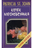 Kotek niespodzianka