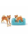 Shiba Inu matka i szczenięta