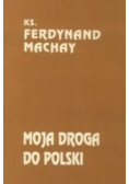 Moja droga do Polski