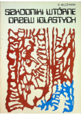 Szkodniki wtórne drzew iglastych