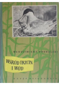 Wśród trzcin i wód