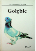 Gołębie leksykon przyrody