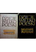 Dzieje wielkopolski 2 tomy