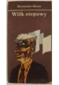 Wilk stepowy
