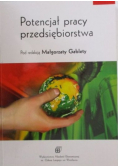 Potencjał pracy przedsiębiorstwa