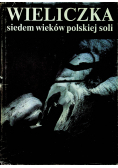 Wieliczka siedem wieków polskiej soli
