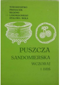 Puszcza sandomierska wczoraj i dziś