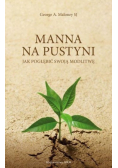 Manna na pustyni Jak pogłębić swoją modlitwę