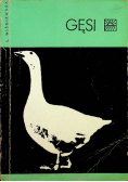 Gęsi