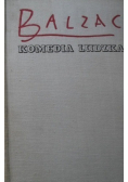 Komedia ludzka