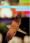 Ptaki w mieście